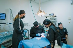 Blog 150 dentist-in-algodones