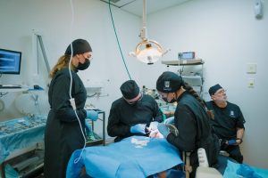 Blog 136 dental-care-in-los-algodones