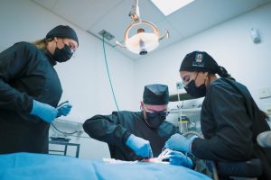 Blog 138 dentists-in-los-algodones